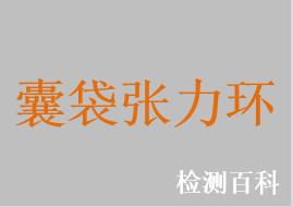 囊袋張力環，囊袋擴張環